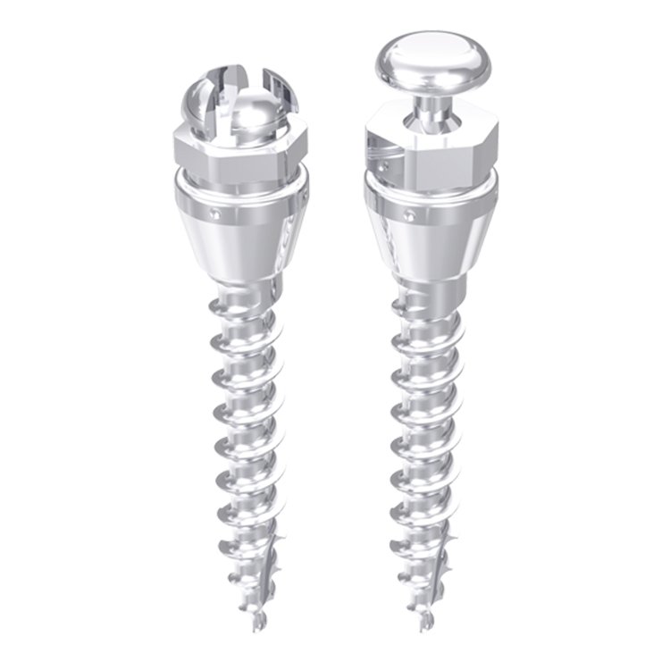 Mini implantes - dentaurum